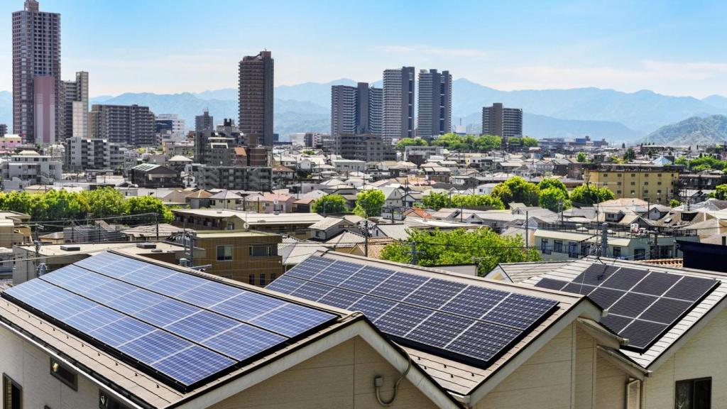 Japón está apostando por una inversión a futuro con este material.