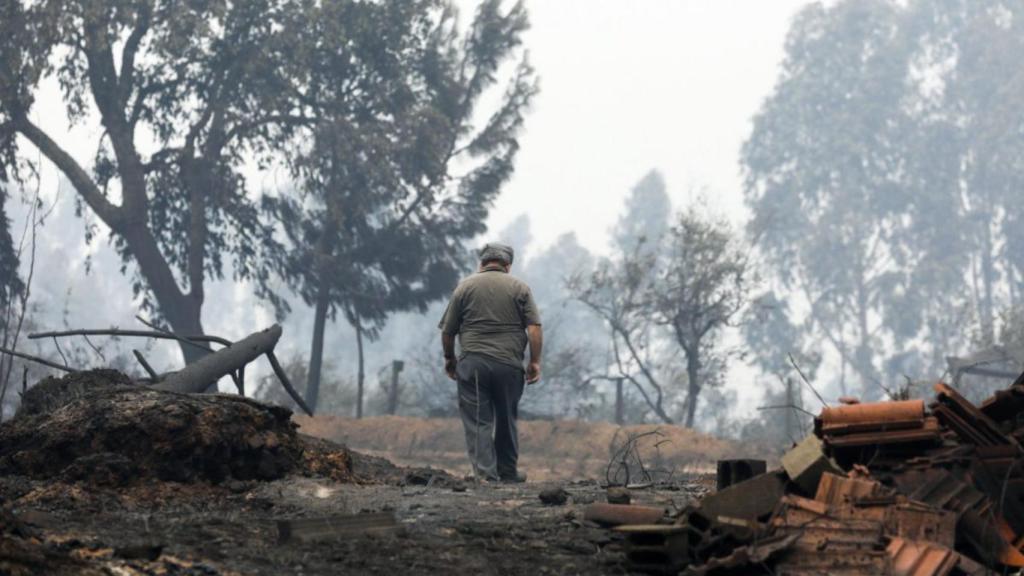 Imagen de la zona afectada por el incendio que se produjo en Portugal en 2017.