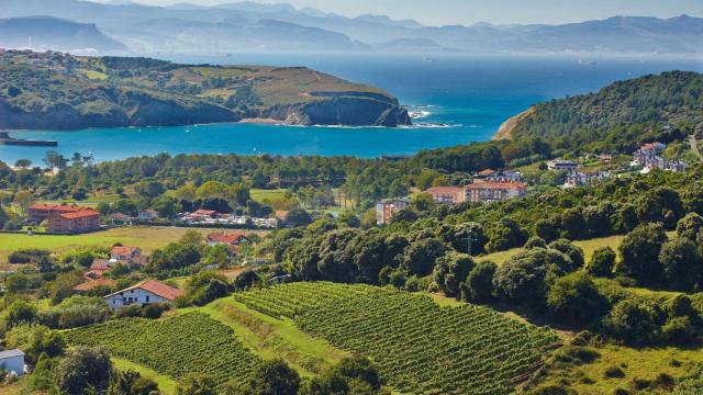 El entorno de la bodega Itsasmendi.