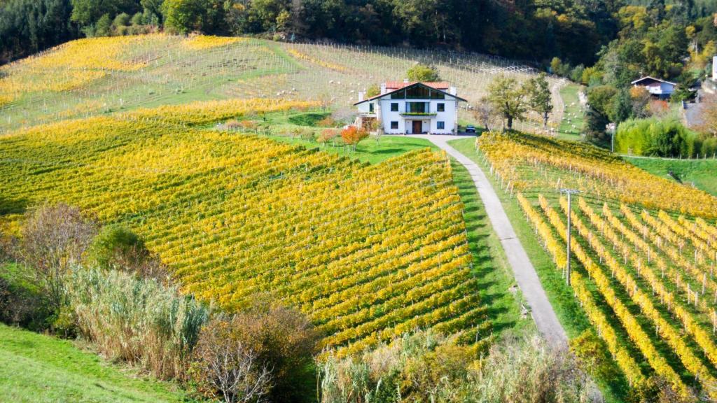 Viñedo de Ados, en Bakio.