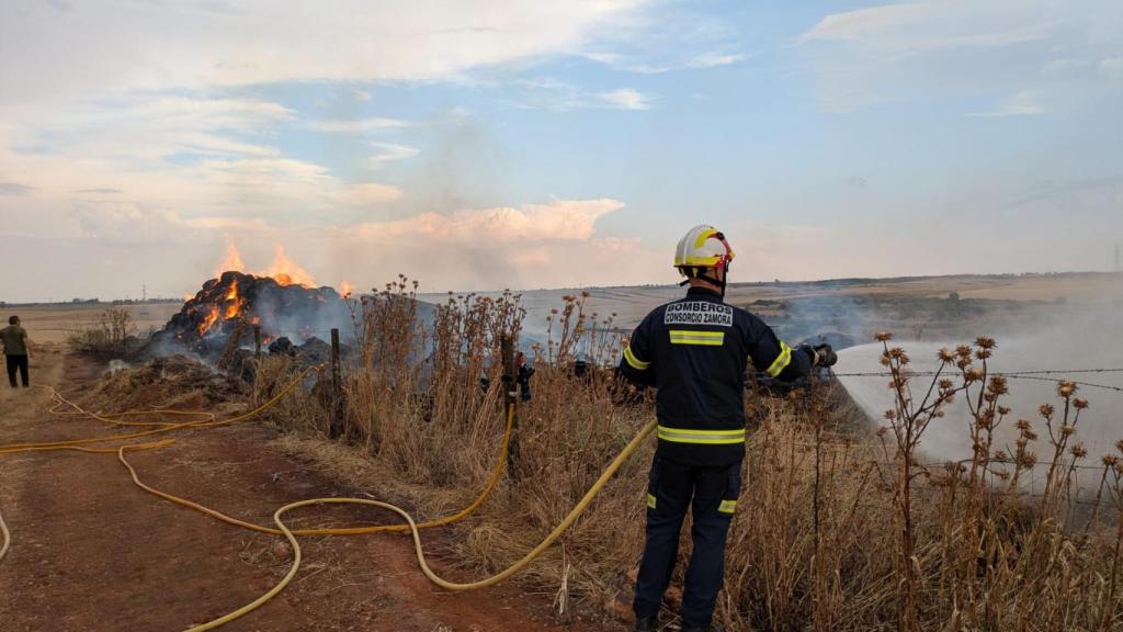 Incendio en los cultivos de Palacios del Pan