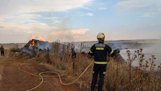 Incendio en los cultivos de Palacios del Pan