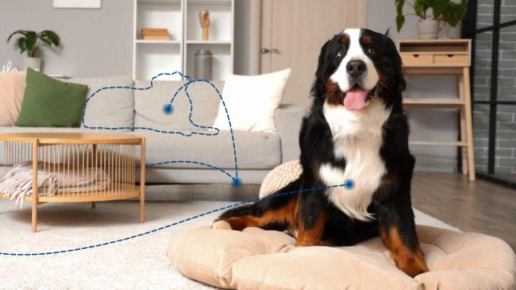 Chollazo en Amazon para anticiparte al Prime Day: una cámara de vigilancia WiFi que protege tu hogar