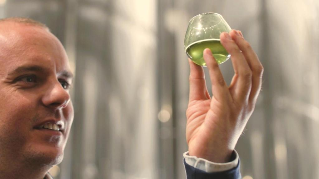 Cata de aceite en las instalaciones de Coselva.