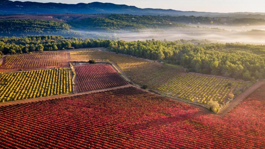 Cataluña apetece: un sinfín de caminos por degustar