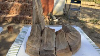 358f5088d1995c86cbaea15bc7c0fb6b7e00897e