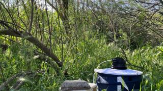 Una trampa para detectar mosquitos con virus del Nilo.