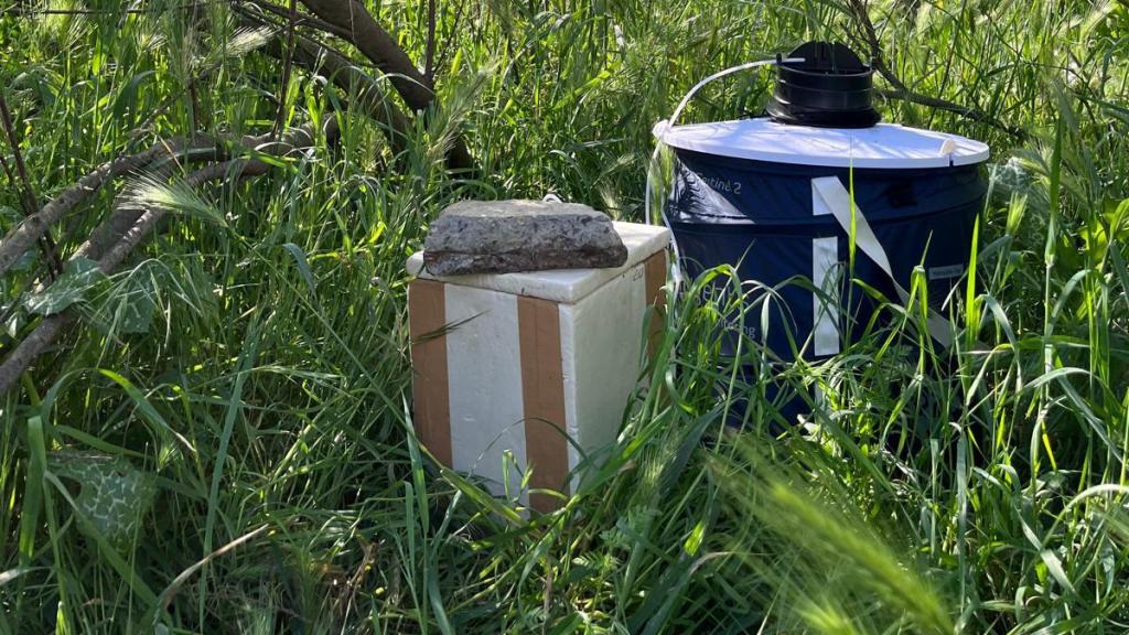 Una trampa para detectar mosquitos con virus del Nilo.