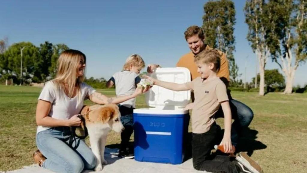 El congelador portátil que Walmart puso en oferta