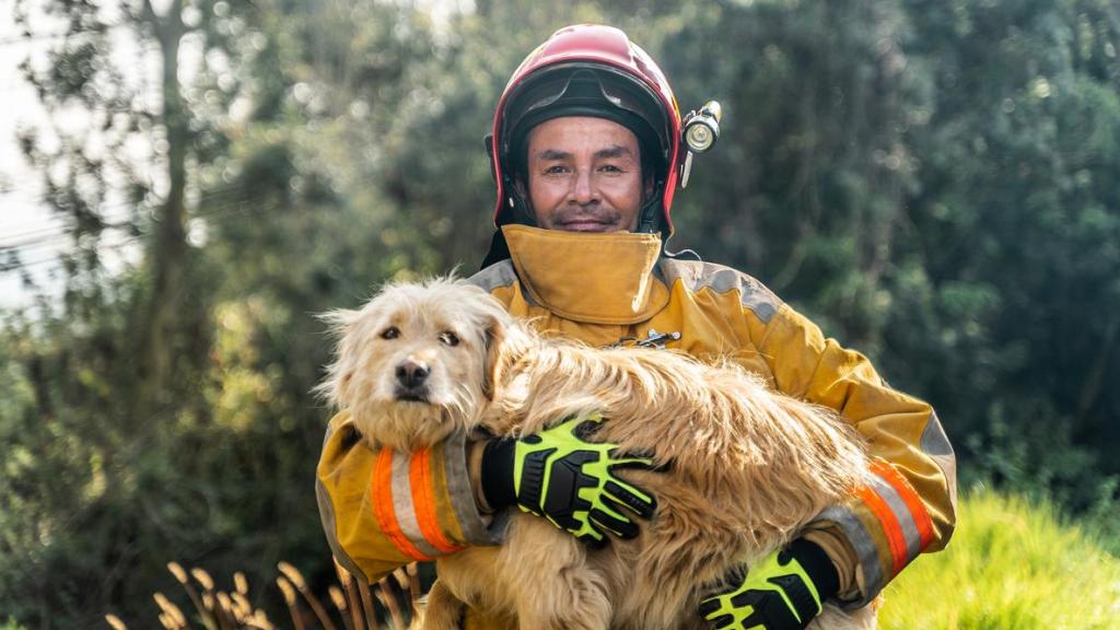 El rescate de un perro en un bosque.
