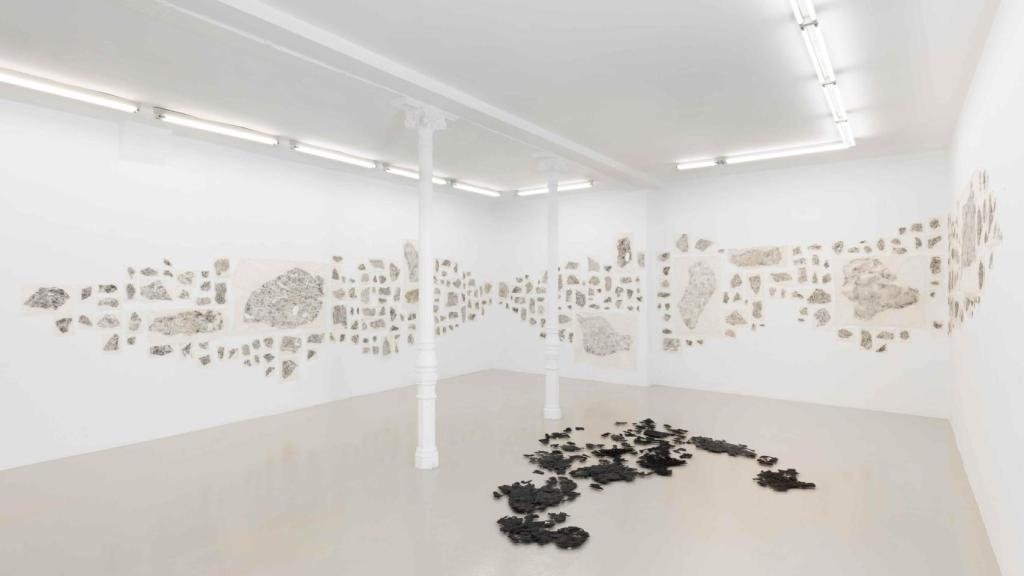 Vista general de la instalación. Foto: Roberto Ruiz