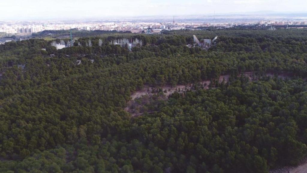 Los Pinares de Venecia.