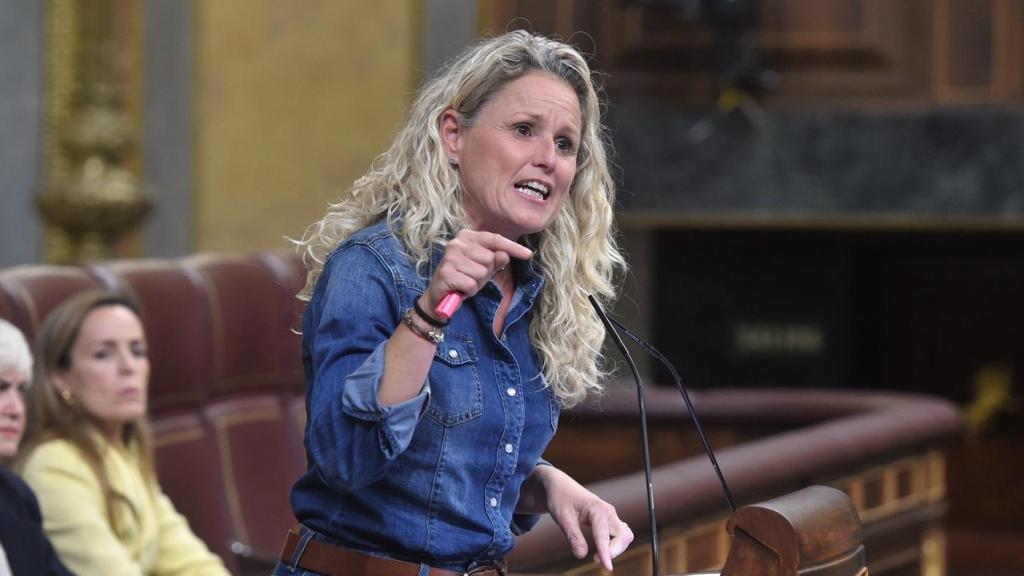 La diputada Montse Mínguez, en octubre del año pasado en el Congreso de los Diputados.