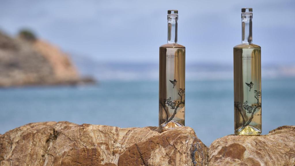 La última añada de Finca Serena.