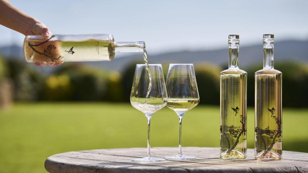 Cinco vinos para el verano perfectos para descorchar en la terraza cuando te visitan los amigos