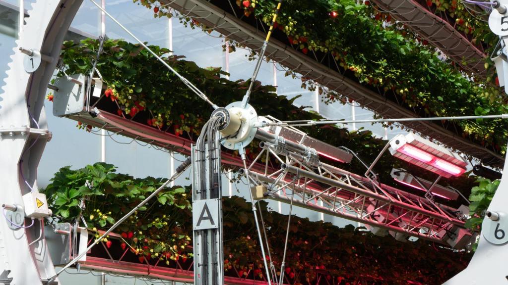 El sistema híbrido de cultivo vertical de Dyson