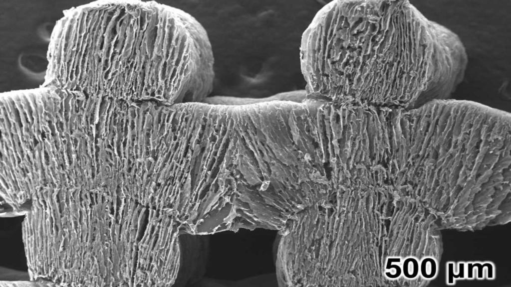 El material esponjoso que elimina la sal del agua del mar usando el sol.
