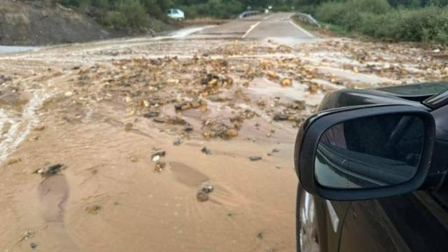 Carretera ZA-P-1405 anegada tras las fuertes tormentas