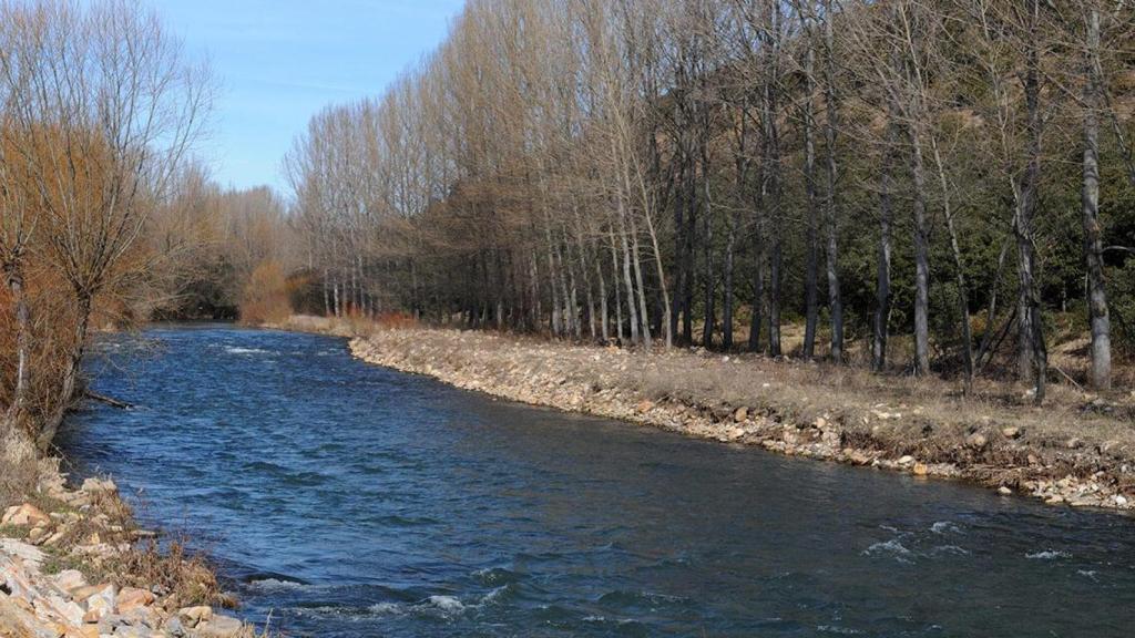 Río Bernesga a su paso por La Seca