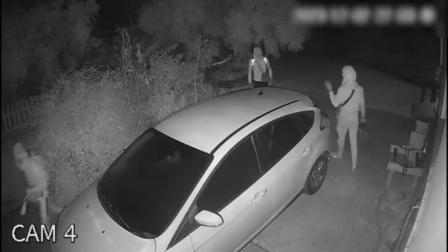 Operación Alambrados-Cepa-Gratus