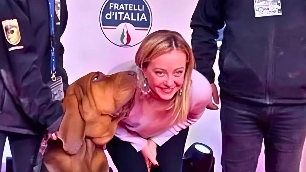 La primera ministra italiana, Giorgia Meloni, entregó un premio en persona a Bruno, un héroe con cuatro patas que salvó a nueve personas.