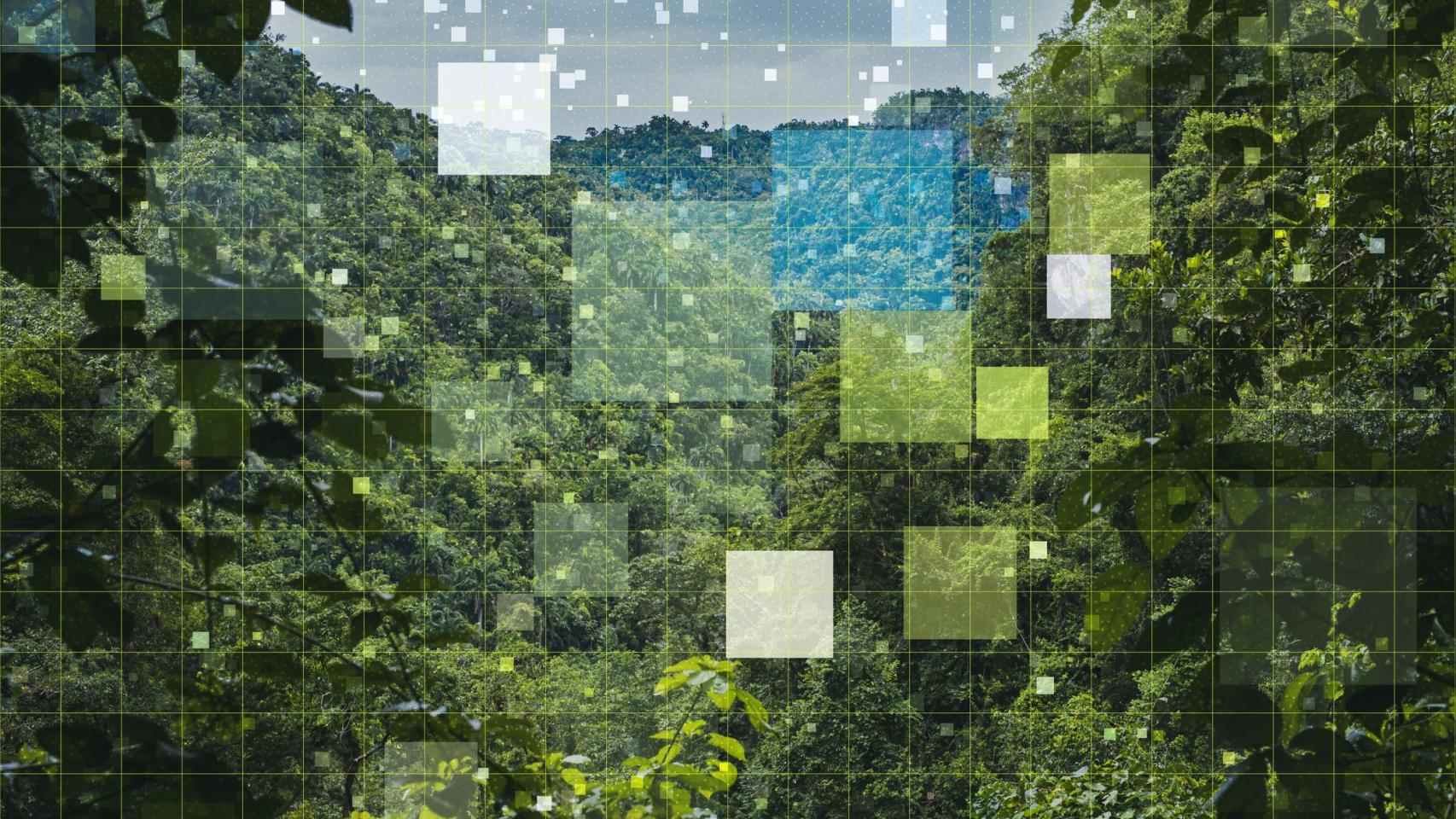 Concepto digital relacionado con la naturaleza.