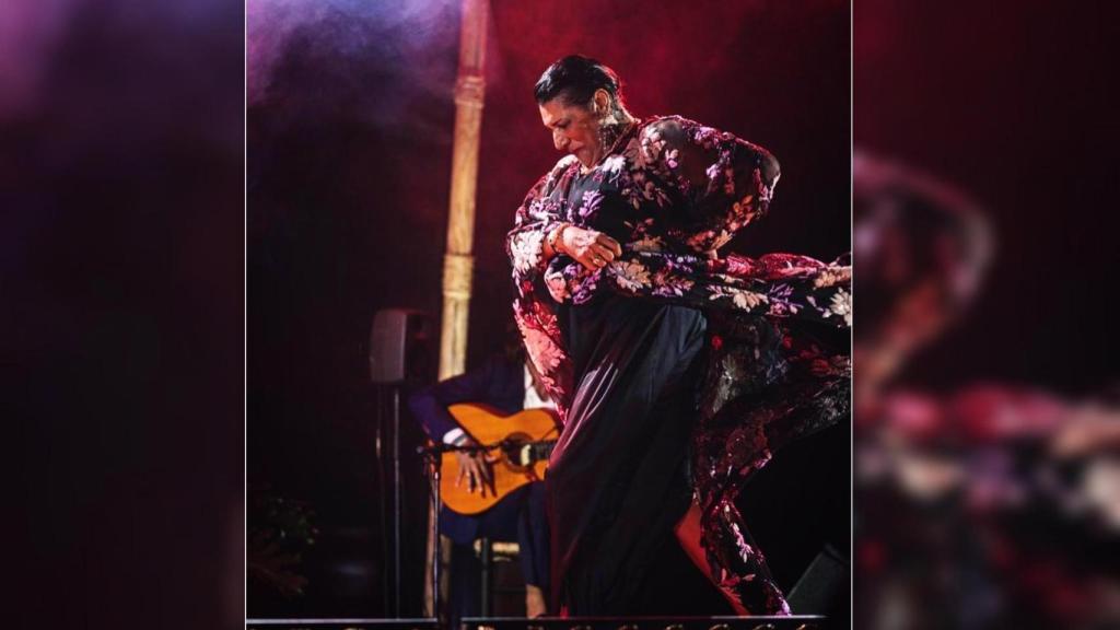 Remedios Amaya durante una actuación