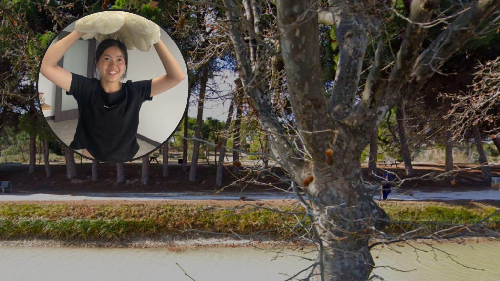 Confirman que el cuerpo hallado es el de Genying Q.