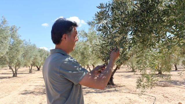 Uno de los agricultores de Alicante en sus cultivos.
