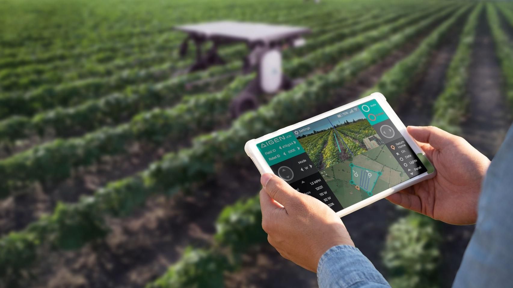 El robot con IA que jubilará a los agricultores: elimina la maleza sin ...