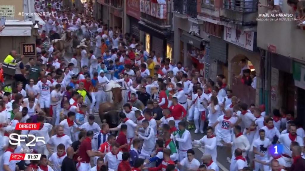 Toros de Cebada Gago.