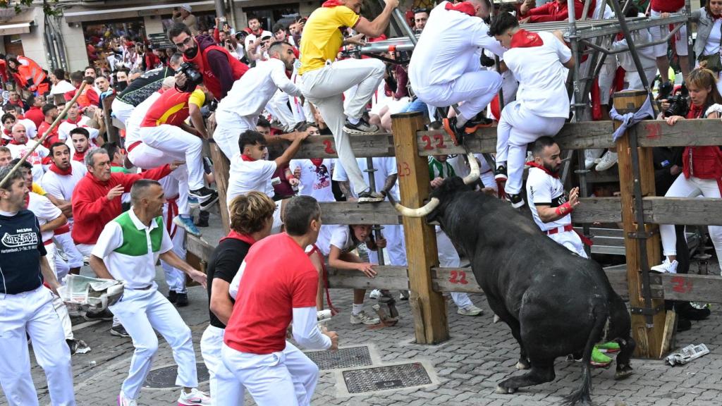 Toro rezagado en el segundo encierro de los Sanfermines de este 2025.