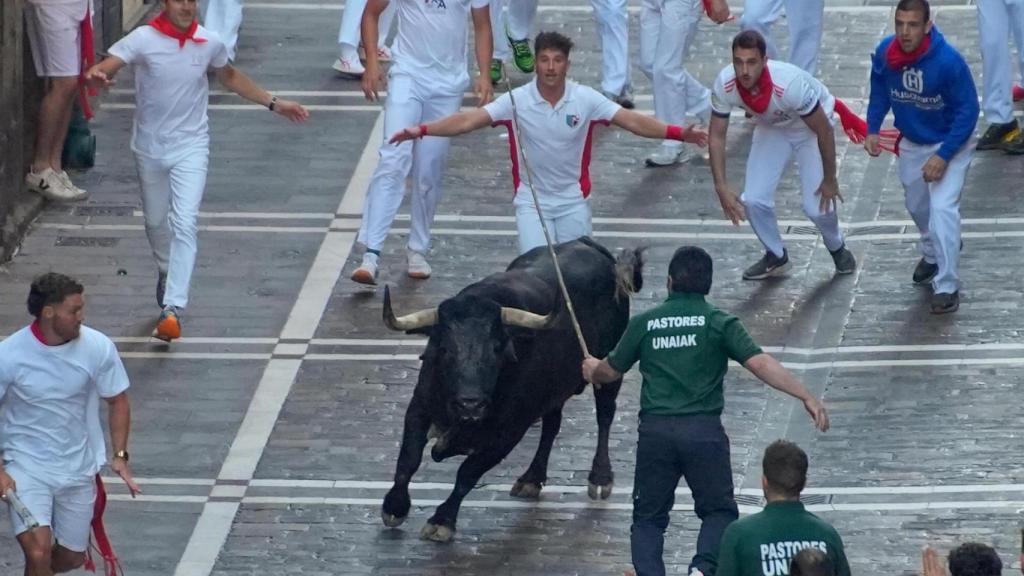 Caminante, toro.