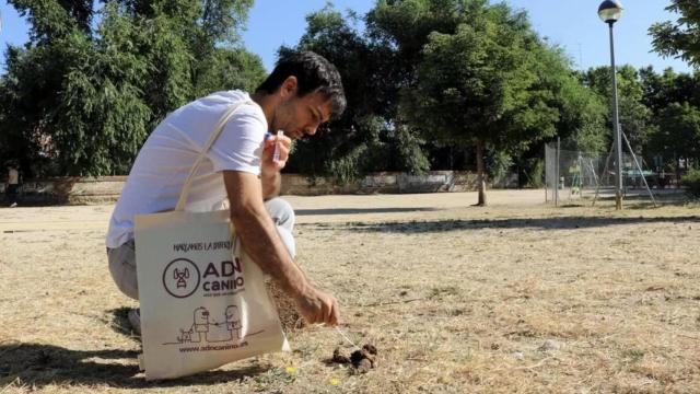 Un registro de ADN de heces caninas en Alcalá.