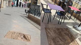 Los árboles talados de César Augusto en Zaragoza, que serán reemplazados en otoño.
