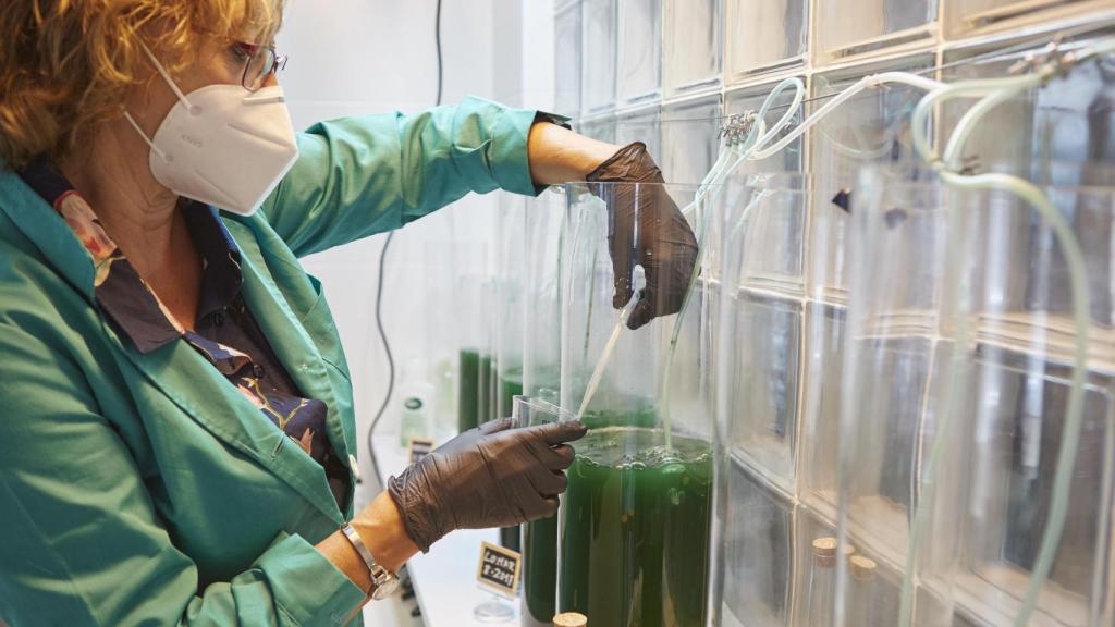 El laboratorio de Espirulina Valsaín