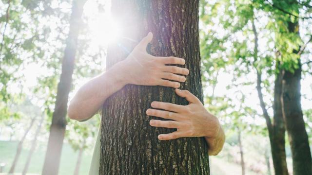 Una persona abrazando a un árbol.