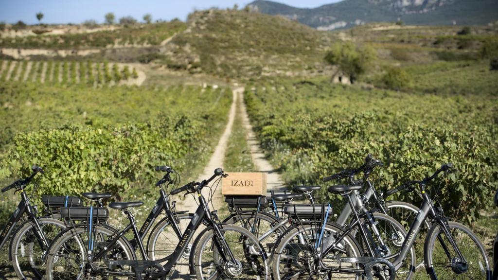 Los viñedos de Izadi se pueden recorrer también pedaleando.