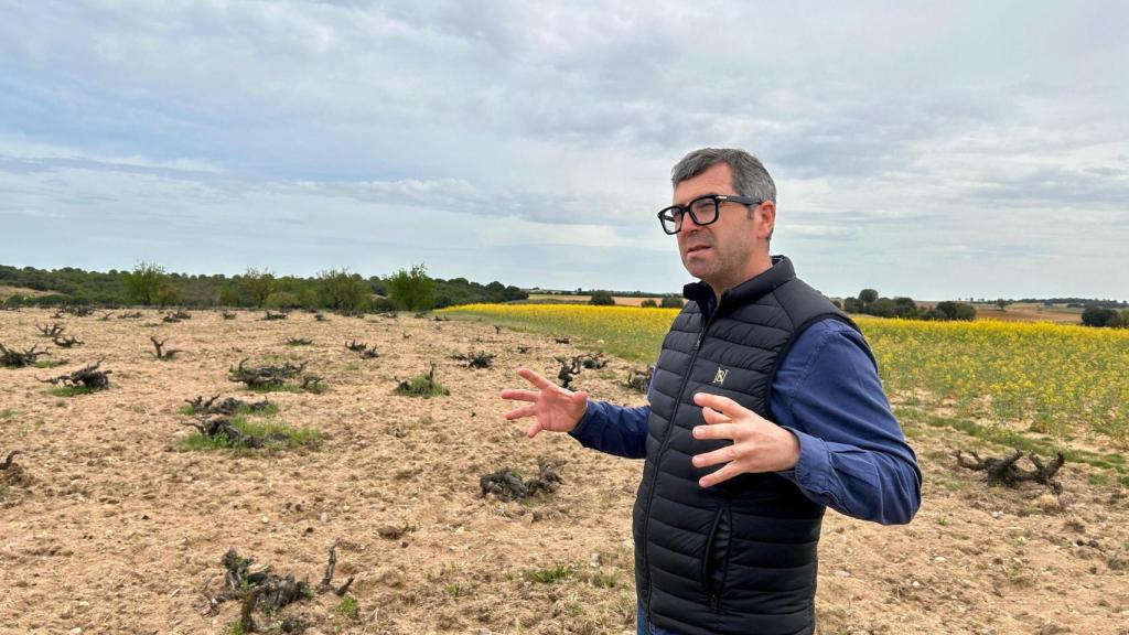 Jesús Jiménez rodeado de viñedos centenarios.