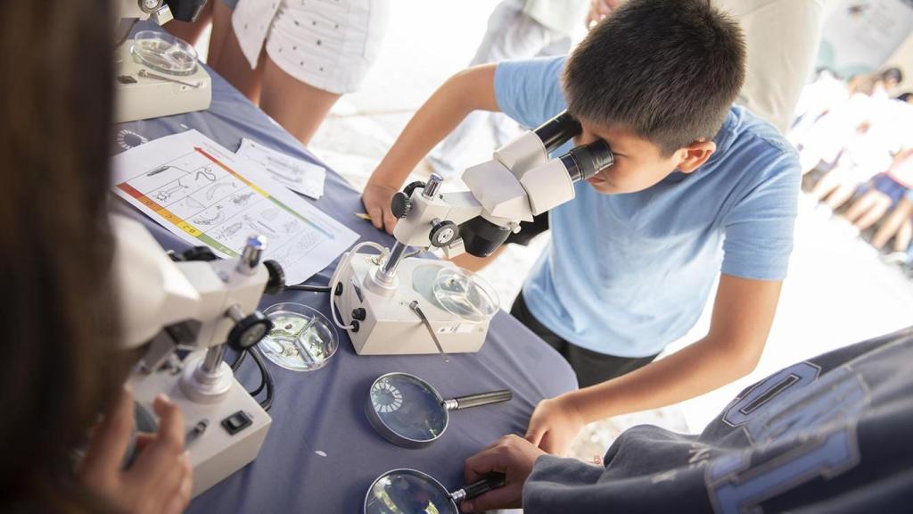 Un niño utilizando un microscopio durante la green week.
