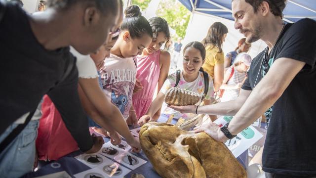 Varios niños en el laboratorio al aire libre durtante la “Green Week Unizar”.