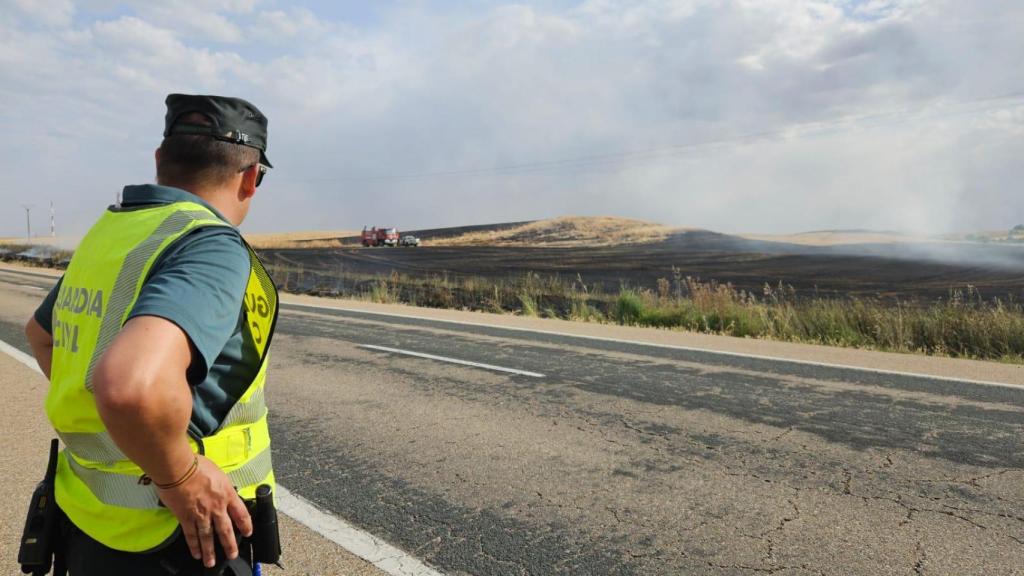 Uno de los dos incendios que arrasaron más de 50 hectáreas en la provincia de Valladolid