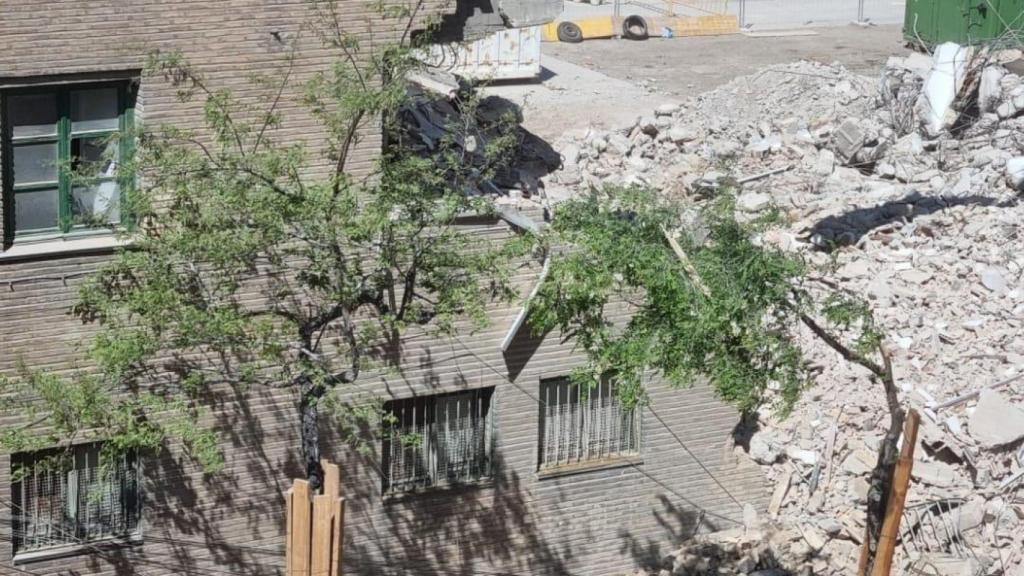 Imágenes de la tala de árboles en las obras del cuartel de Mayandía, en Zaragoza.