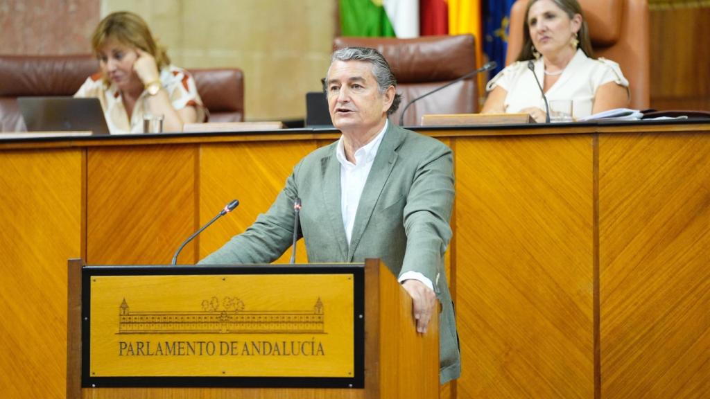 El consejero Antonio Sanz intervniene ante el Parlamento este miércoles durante el Pleno.