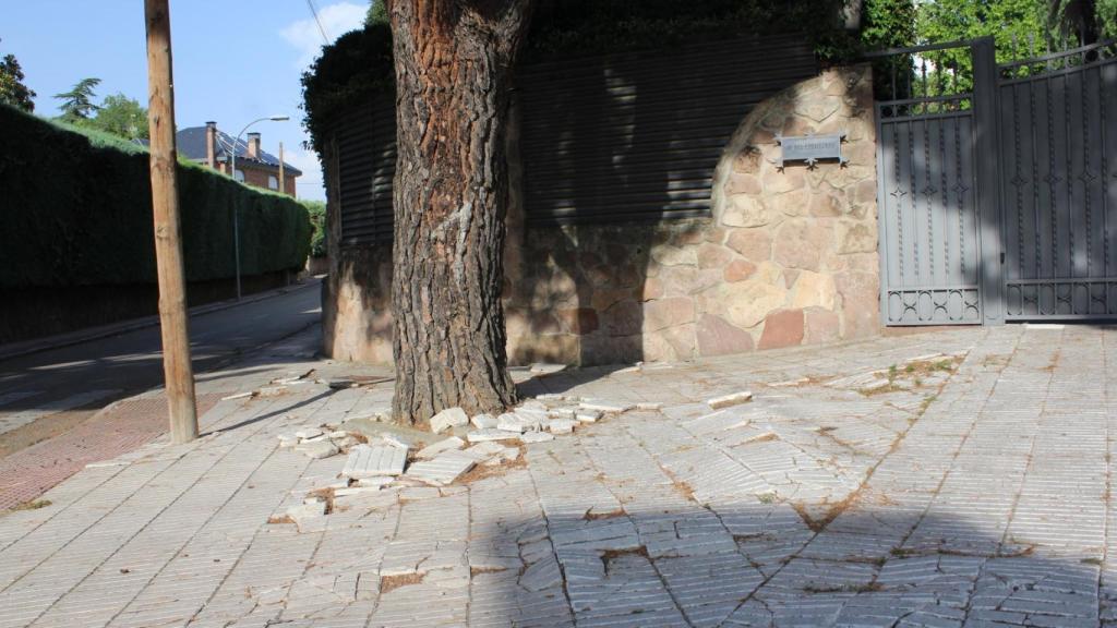 Algunas de las calles de la urbanización.