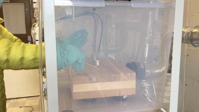 Un trozo de madera dentro en un test de prueba.