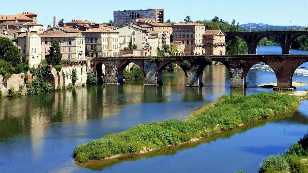El Puente Viejo (Pont-Vieux) de Albi, en Francia.