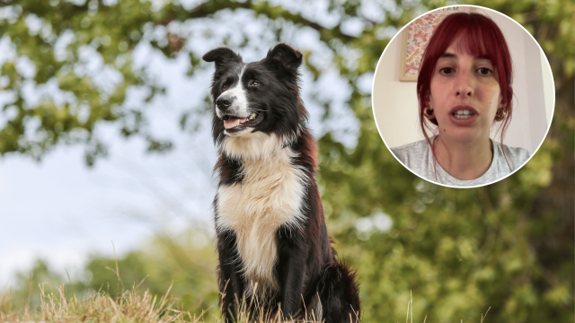Montaje de un perro y Raquel Gongu.
