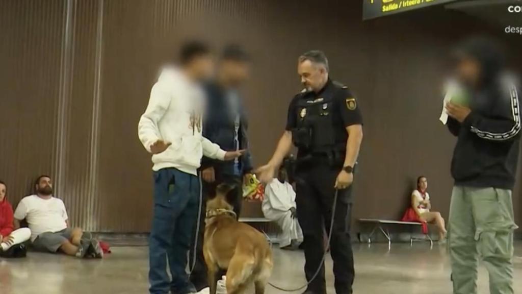 Perro policía en búsqueda de drogas en la estación de autobuses en Pamplona.