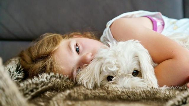 Una niña abrazada a un perro.